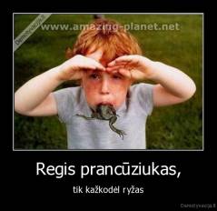 Regis prancūziukas, - tik kažkodėl ryžas