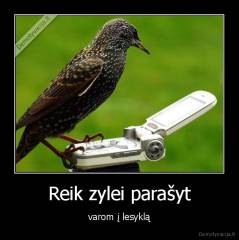 Reik zylei parašyt - varom į lesyklą
