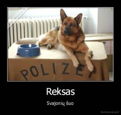 Reksas - Svajonių šuo