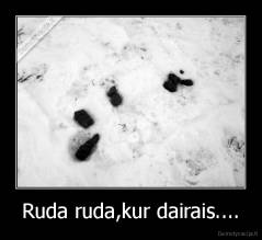 Ruda ruda,kur dairais.... - 