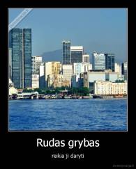 Rudas grybas - reikia ji daryti