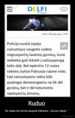 Ruduo  - Tai metas kai turime saugotis kiekvieno ,,Gyvuno kelyje ``
