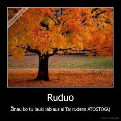 Ruduo - Žinau ko tu lauki labiausiai Tai rudens ATOSTOGŲ
