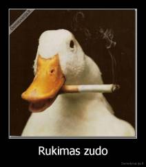 Rukimas zudo - 