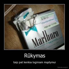 Rūkymas - taip pat kenkia loginiam mąstymui