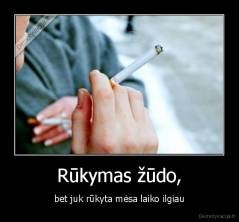 Rūkymas žūdo, - bet juk rūkyta mėsa laiko ilgiau