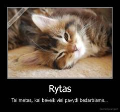 Rytas - Tai metas, kai beveik visi pavydi bedarbiams…