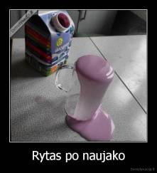 Rytas po naujako - 