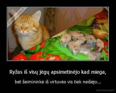 Ryžas iš visų jėgų apsimetinėjo kad miega, - bet šeimininkė iš virtuvės vis tiek neišėjo...