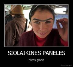 SIOLAIKINES PANELES - tikras grozis