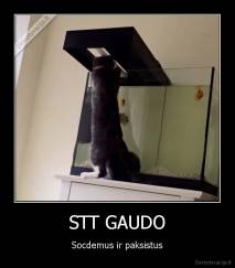STT GAUDO - Socdemus ir paksistus
