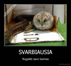 SVARBIAUSIA - Nugalėti savo baimes