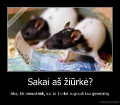Sakai aš žiūrkė? - Aha, tik nenustebk, kai ta žiurkė sugrauš tau gyvenimą