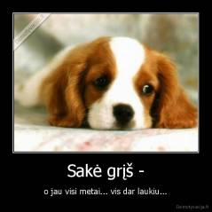Sakė grįš - - o jau visi metai... vis dar laukiu...