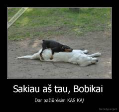 Sakiau aš tau, Bobikai  - Dar pažiūrėsim KAS KĄ!