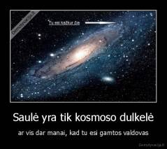 Saulė yra tik kosmoso dulkelė - ar vis dar manai, kad tu esi gamtos valdovas