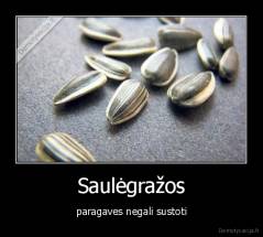 Saulėgražos - paragaves negali sustoti