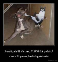 Savaitgalis!!! Varom į TUBORGĄ pašokt? - - Varom!!! palauk, beisbolkę pasiimsiu!