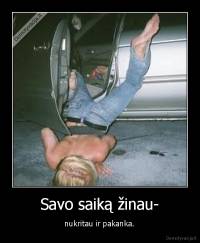 Savo saiką žinau- -  nukritau ir pakanka. 