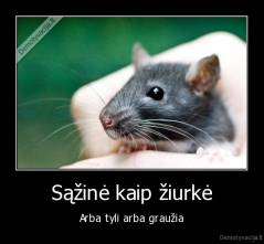 Sąžinė kaip žiurkė - Arba tyli arba graužia