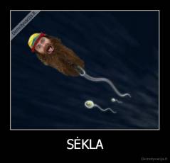 SĖKLA - 
