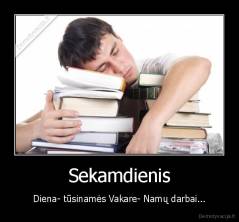 Sekamdienis - Diena- tūsinamės Vakare- Namų darbai...