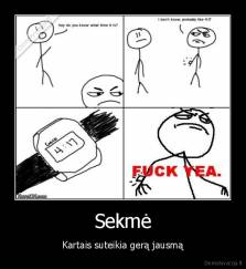 Sekmė - Kartais suteikia gerą jausmą