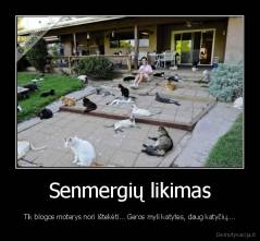 Senmergių likimas - Tik blogos moterys nori ištekėti... Geros myli katytes, daug katyčių....
