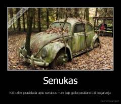 Senukas - Kai kalba prasideda apie senukus man taip gaila pasidaro kai pagalvoju