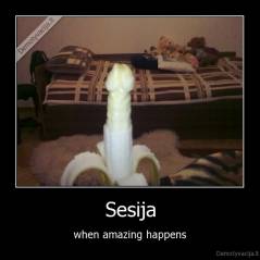 Sesija - when amazing happens