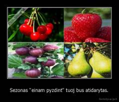 Sezonas "einam pyzdint" tuoj bus atidarytas. - 