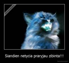 Siandien netycia praryjau zibinta!!! - 