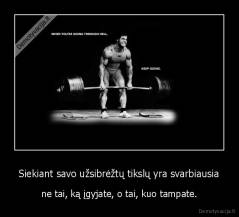 Siekiant savo užsibrėžtų tikslų yra svarbiausia - ne tai, ką įgyjate, o tai, kuo tampate.