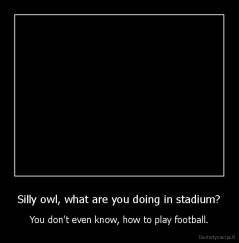 Silly owl, what are you doing in stadium? - You don't even know, how to play football.