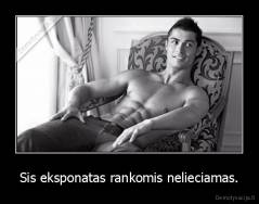 Sis eksponatas rankomis nelieciamas. - 