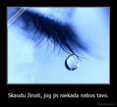 Skaudu žinoti, jog jis niekada nebus tavo. - 