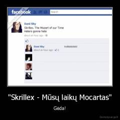 "Skrillex - Mūsų laikų Mocartas" - Gėda!