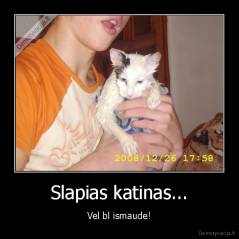 Slapias katinas... - Vel bl ismaude!