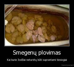 Smegenų plovimas - Kai kurie žodžiai neturėtų būti suprantami tiesiogiai