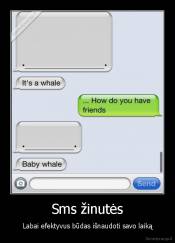 Sms žinutės - Labai efektyvus būdas išnaudoti savo laiką