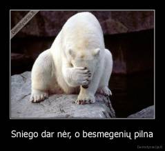 Sniego dar nėr, o besmegenių pilna - 