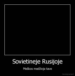Sovietineje Rusijoje - Meškos medžioja tave