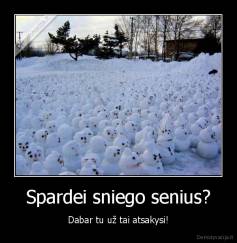 Spardei sniego senius? - Dabar tu už tai atsakysi!