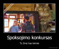 Spoksojimo konkursas - Tu žinai kas laimės
