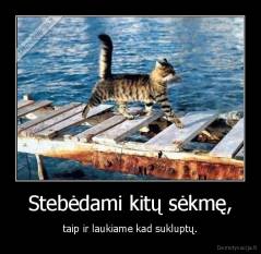 Stebėdami kitų sėkmę, - taip ir laukiame kad sukluptų.