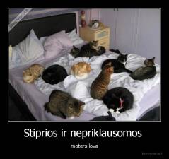 Stiprios ir nepriklausomos  - moters lova