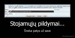 Stojamųjų pildymai... - Šneka patys už save