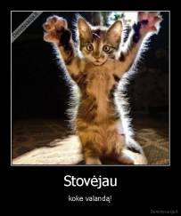 Stovėjau - koke valandą!