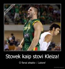 Stovek kaip stovi Kleiza! - O fanai atsako : Laisve!