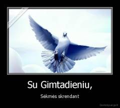 Su Gimtadieniu, - Sėkmės skrendant